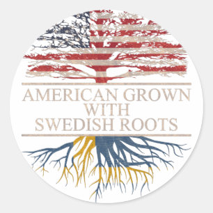 Amerikaan met zweedse wortels ronde sticker
