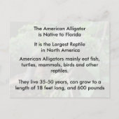 Amerikaans Alligator - Briefkaart leren (Achterkant)