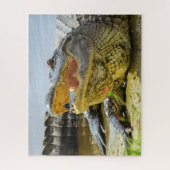 Amerikaans alligatorportret legpuzzel (Verticaal)