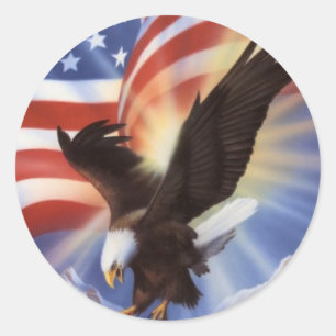 amerikaans-arend-and-flag-ii ronde sticker