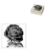  Amerikaans Beauty Roos Stempel (Gestempeld)
