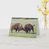 Amerikaans Bison Folded Wenskaart Kaart (Gele Bloem)