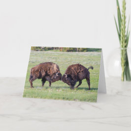 Amerikaans Bison Folded Wenskaart Kaart