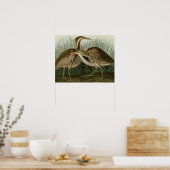 Amerikaans Bittern Poster (Keuken)