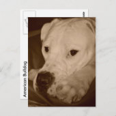 Amerikaans Briefkaart (Voorkant / Achterkant)