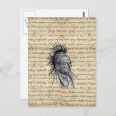 Amerikaans Briefkaart (Voorkant / Achterkant)