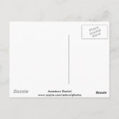 Amerikaans Briefkaart (Achterkant)