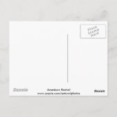 Amerikaans Briefkaart (Achterkant)