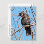 Amerikaans Briefkaart (Voorkant / Achterkant)