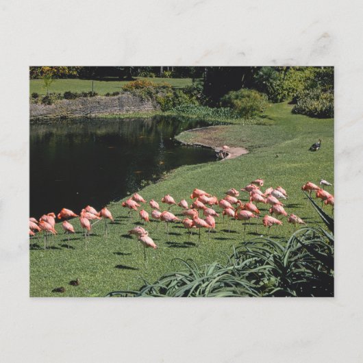  Amerikaans Briefkaart (Voorkant)