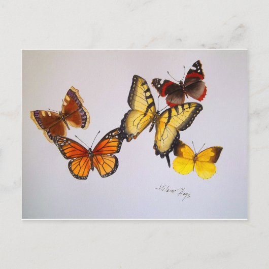 Amerikaans Briefkaart Butterflies (Voorkant)