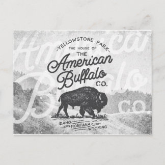 Amerikaans Buffalo Montana Travel Briefkaart