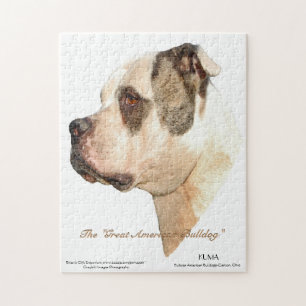 Amerikaans Bulldog Profiel Legpuzzel