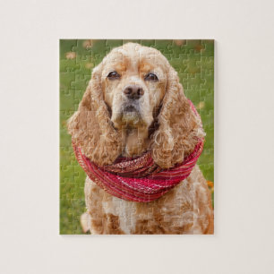 Amerikaans Cocker Spaniel in de buitenlucht op jaa Legpuzzel