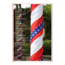 Amerikaans diversity Patriotic Poster