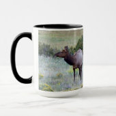 Amerikaans eland | Colorado Mok (Links)