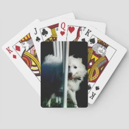 Amerikaans Eskimo (Eskie) weven in Schaduw Speelkaarten