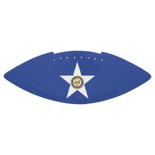 Amerikaans football met vlag van Houston (Paneel)