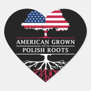 Amerikaans gegroeid met Poolse wortelsPools des Hart Sticker