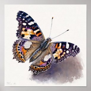 Amerikaans geschilderd Lady Butterfly Art Print Po