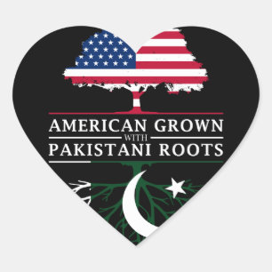 Amerikaans geteeld met Pakistaanse roots Pakistan Hart Sticker
