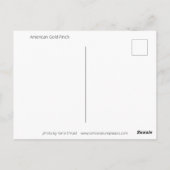 Amerikaans Goldfinch Briefkaart (Achterkant)