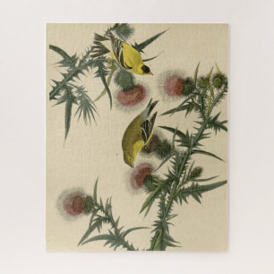 Amerikaans Goldfinch uit Audubon's Birds of Americ Legpuzzel