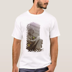 Amerikaans Indiaas Nationaal Museum T-shirt