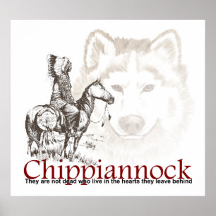 Amerikaans Indiaas Poster Ze zijn niet dood