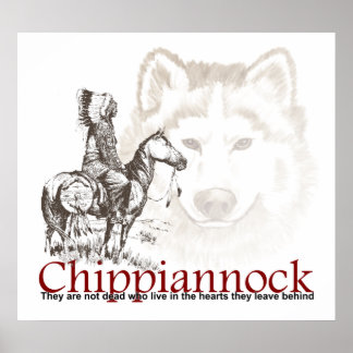 Amerikaans Indiaas Poster Ze zijn niet dood