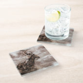 Amerikaans Indiaas ringpaard Glazen Onderzetter (Schuin)