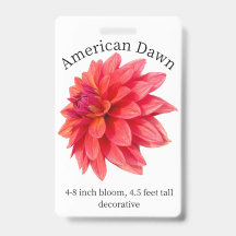Amerikaans ochtend-dahlia ID-badge