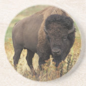 Amerikaans Onderzetter van Bison Sandstone (Voorkant)