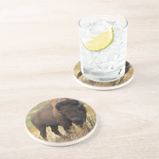 Amerikaans Onderzetter van Bison Sandstone (Zijkant)