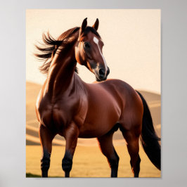 Amerikaans paard poster