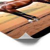 Amerikaans paard poster (Hoek)