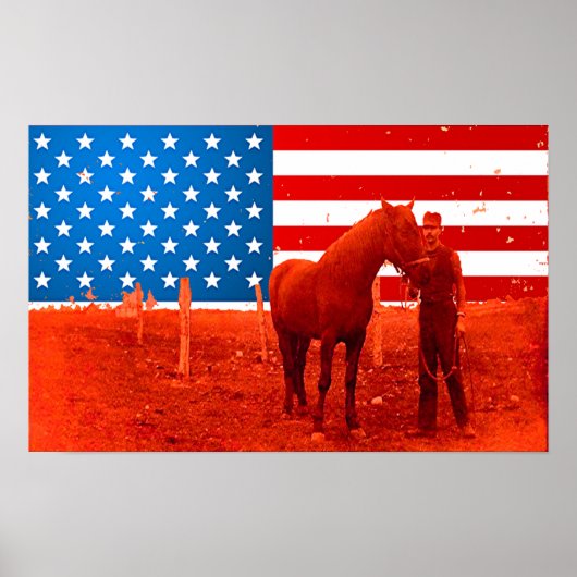 Amerikaans paard poster (Voorkant)