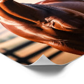 Amerikaans paard poster (Hoek)