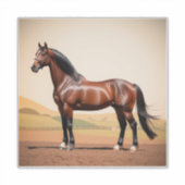 Amerikaans paard sticker (Voorkant)
