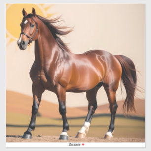 Amerikaans paard sticker