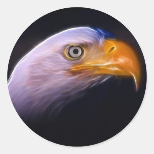Amerikaans patriottisch Bald Eagle, nationaal symb Ronde Sticker