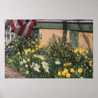 Amerikaans porch poster