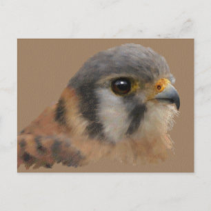 Amerikaans portret briefkaart