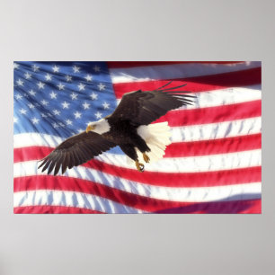 Amerikaans Poster van Eagle en Vlag