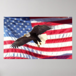 Amerikaans Poster van Eagle en Vlag