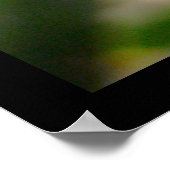 Amerikaans Poster van groene boomkikker (Hoek)