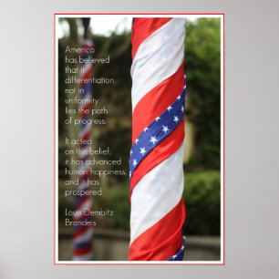 Amerikaans Poster voor Diversiteit