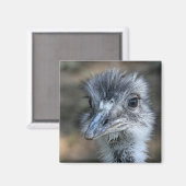 Amerikaans Rhea-portret Magneet (Voorkant / Achterkant)