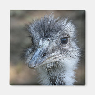 Amerikaans Rhea-portret Magneet