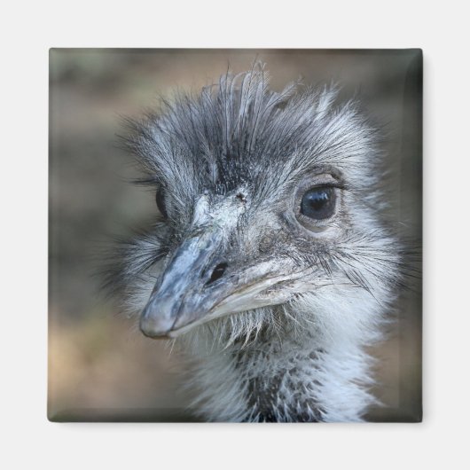 Amerikaans Rhea-portret Magneet (Voorkant)